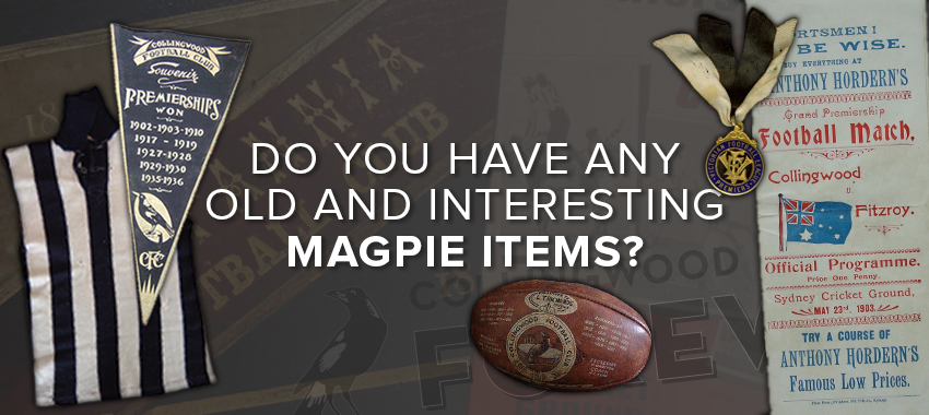 We're Looking for Magpie Relics