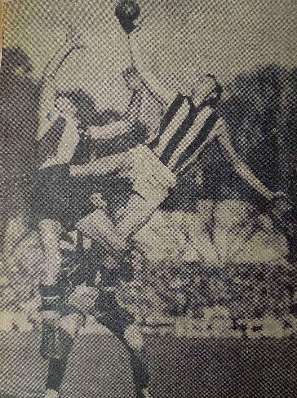 Neville Withers image